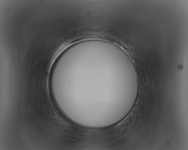 X0000097810152200803140806