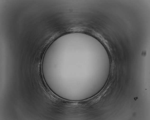 X0000097810153200803140806