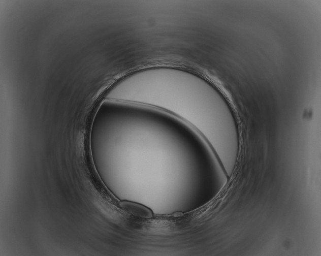 X0000097810154200803140806