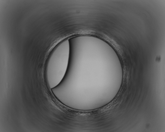 X0000097810155200803140806