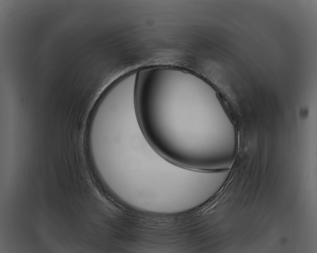 X0000097810156200803140806