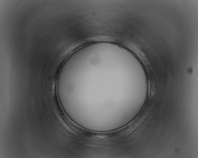 X0000097810157200803140806