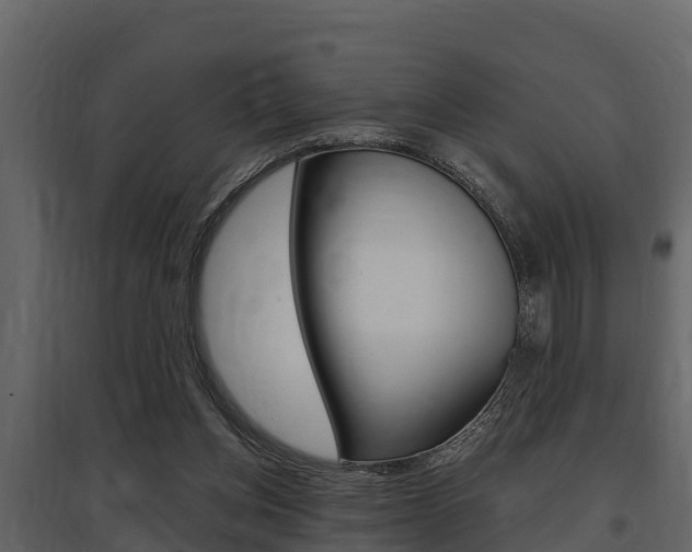 X0000097810158200803140806