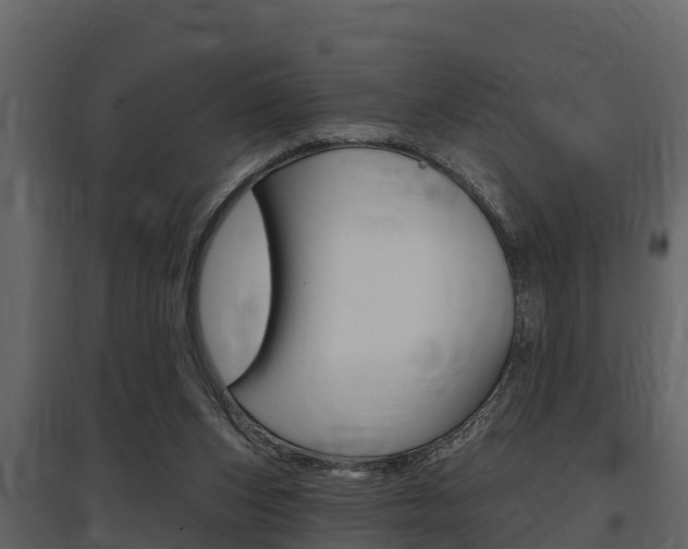 X0000097810159200803140806