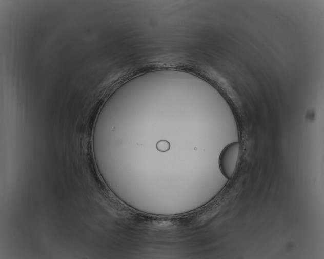 X0000097810161200803140806