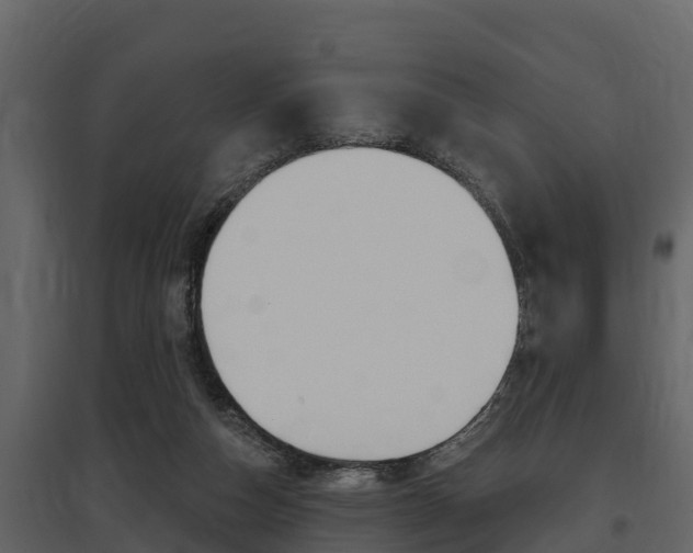 X0000097810162200803140806