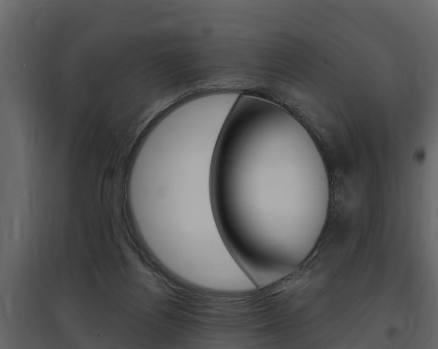 X0000097810164200803140806
