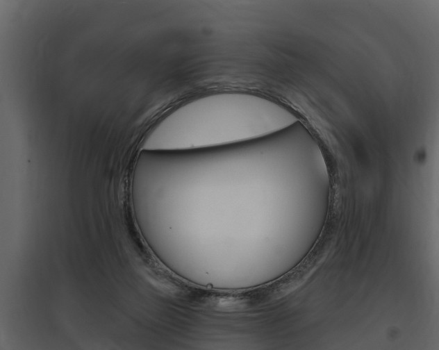 X0000097810165200803140806