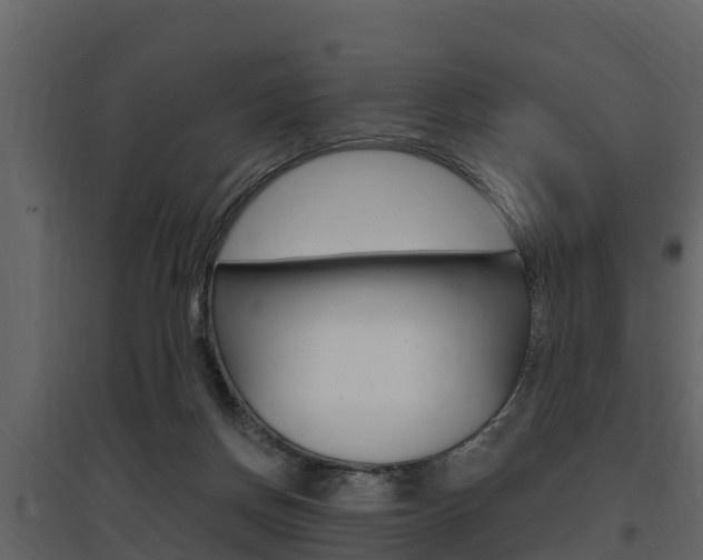 X0000097810166200803140806