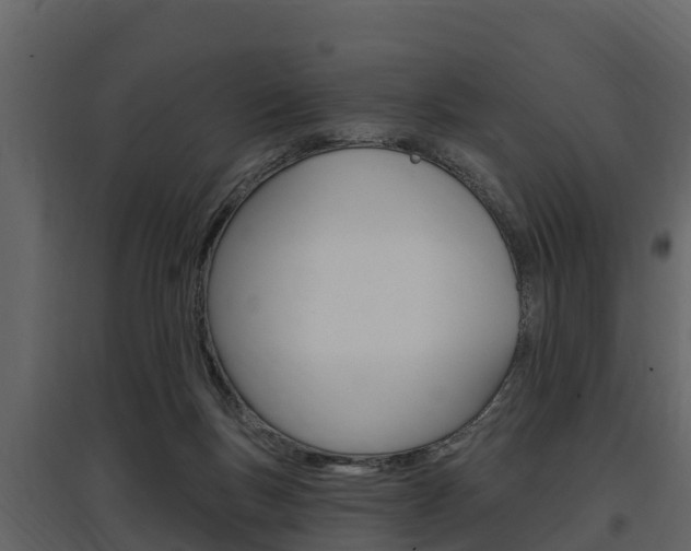 X0000097810167200803140806
