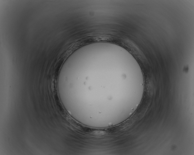 X0000097810169200803140806