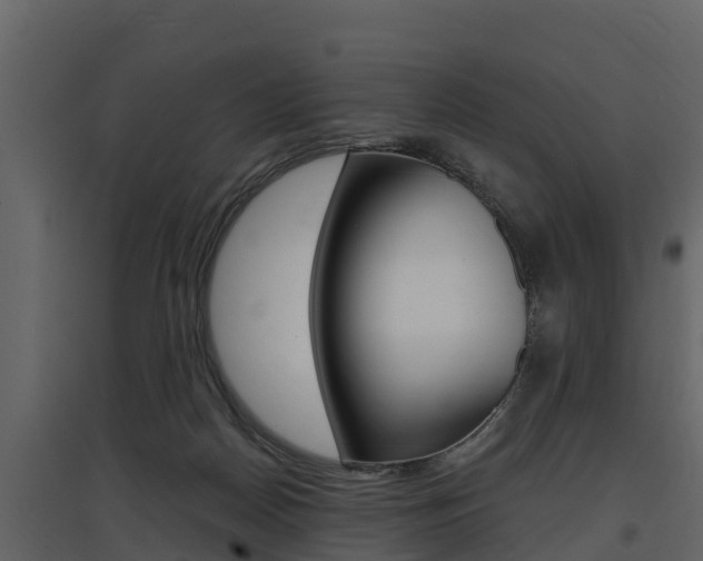 X0000097810170200803140806