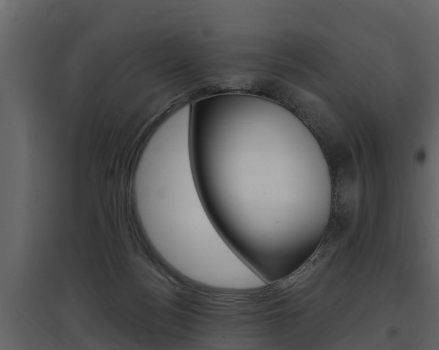 X0000097810172200803140806