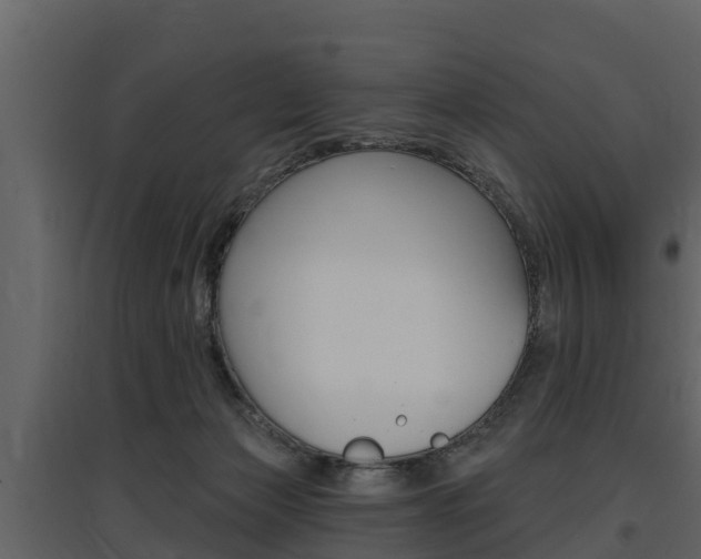X0000097810173200803140806