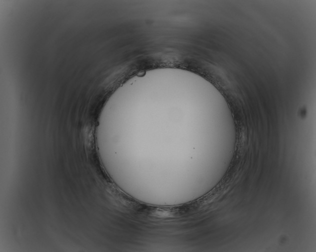 X0000097810177200803140806