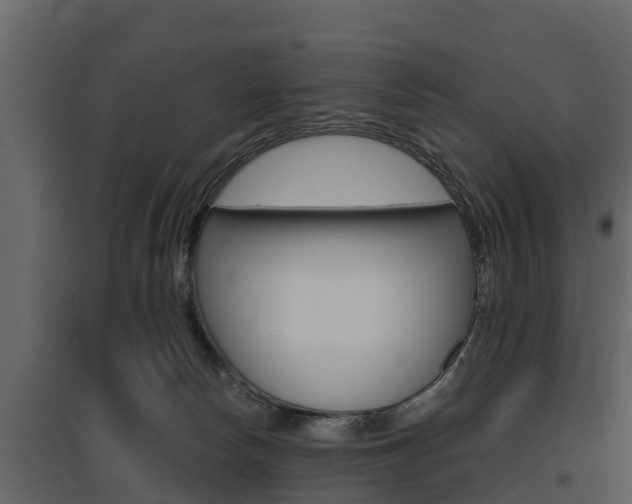 X0000097810178200803140807