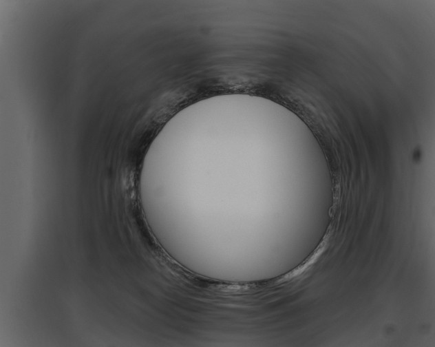 X0000097810182200803140807
