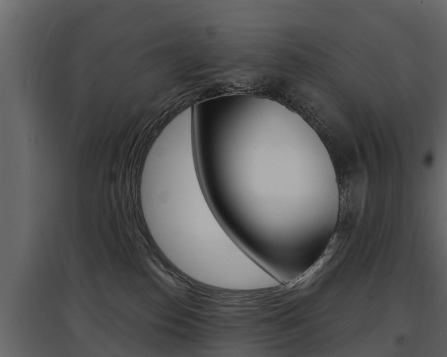 X0000097810186200803140807