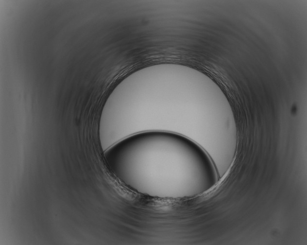 X0000097810190200803140807