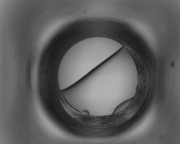 X0000097810191200803140807