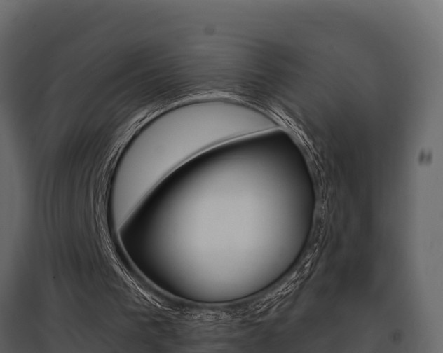 X0000097810193200803140806