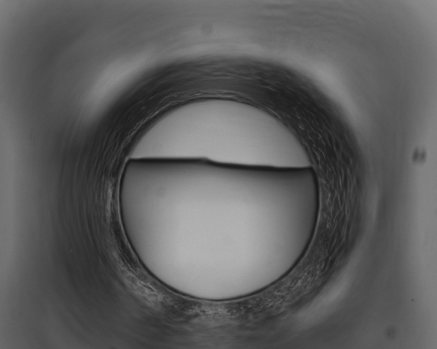 X0000097810194200803140806