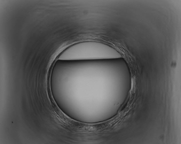 X0000097810195200803140806