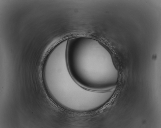 X0000097810197200803140806