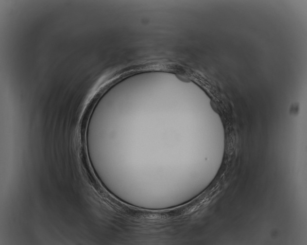 X0000097810198200803140806