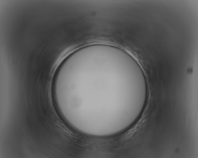 X0000097810199200803140806