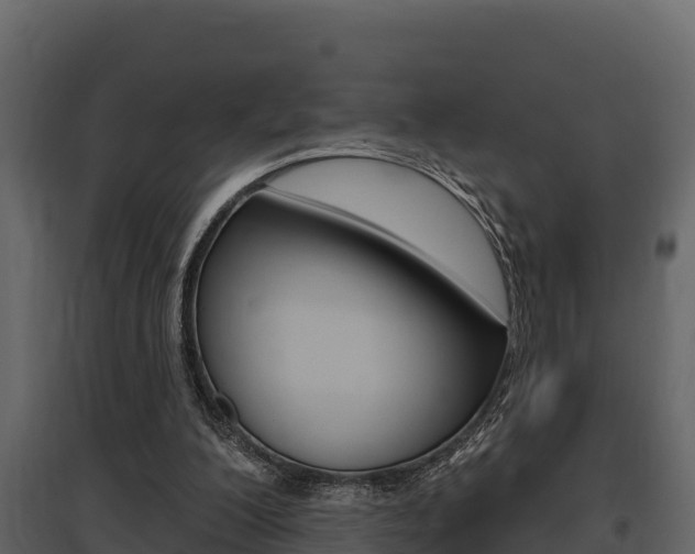 X0000097810200200803140806