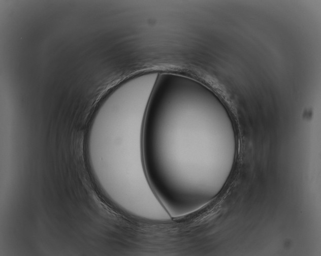 X0000097810201200803140806