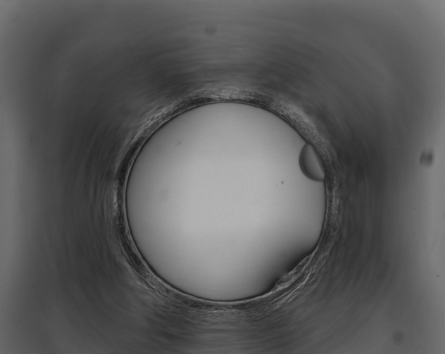 X0000097810202200803140806