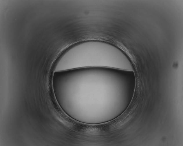 X0000097810203200803140806