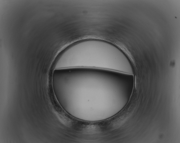 X0000097810204200803140806