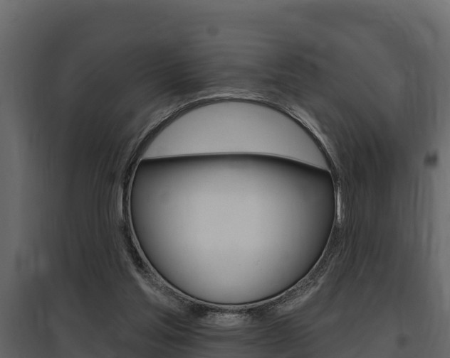 X0000097810205200803140806