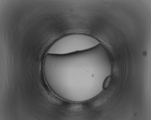 X0000097810206200803140806