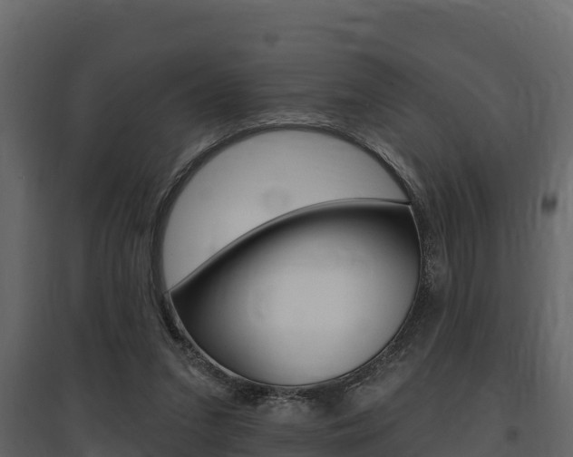 X0000097810207200803140806