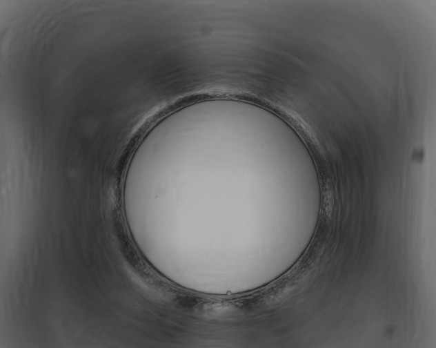 X0000097810208200803140806
