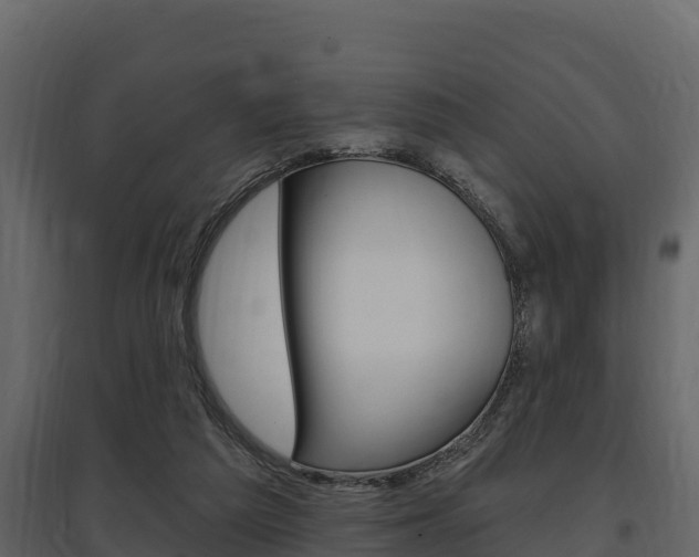 X0000097810209200803140806