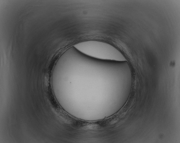 X0000097810210200803140806