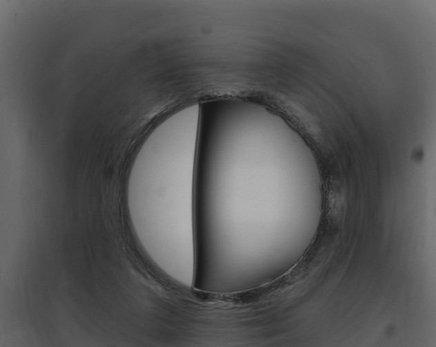 X0000097810211200803140806
