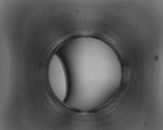 X0000097810212200803140806