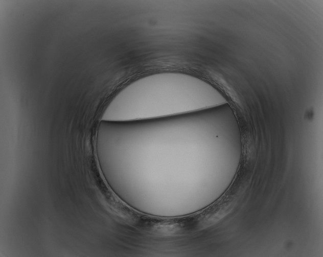 X0000097810213200803140806