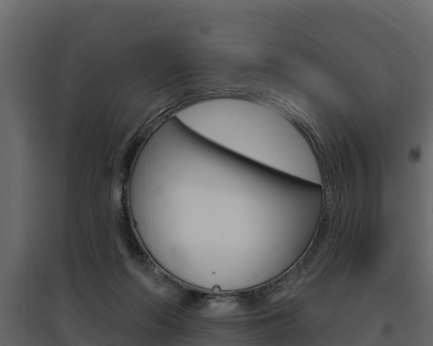 X0000097810214200803140806