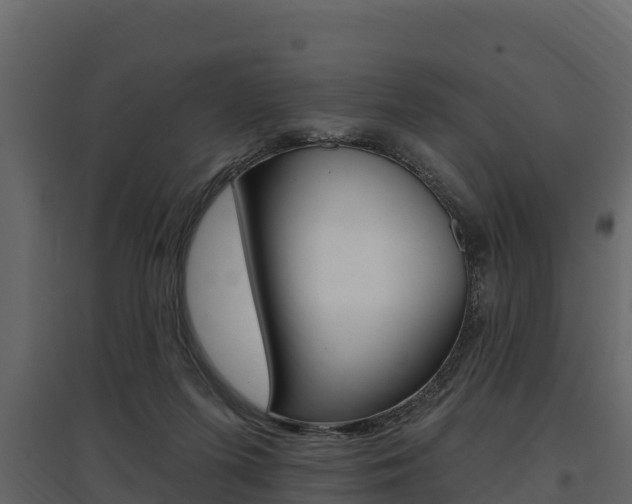 X0000097810215200803140806
