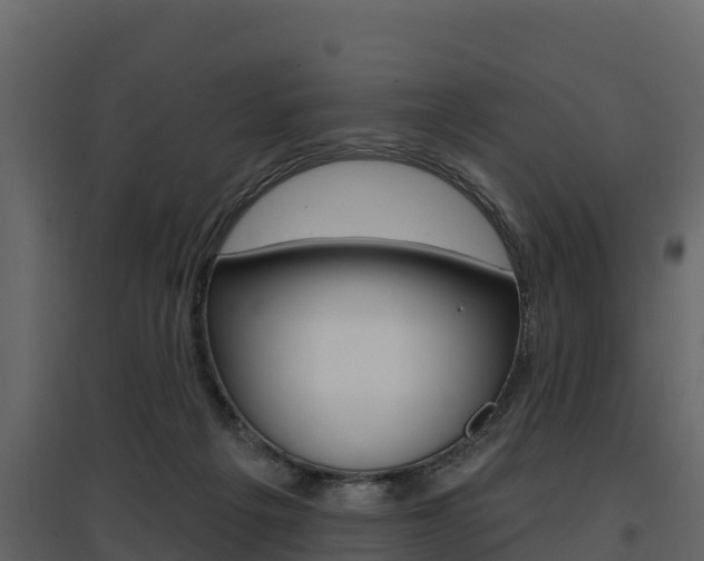 X0000097810217200803140806