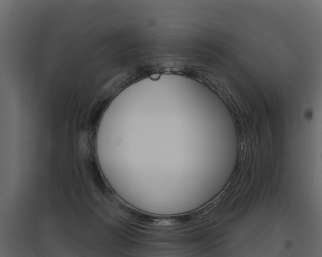 X0000097810218200803140806