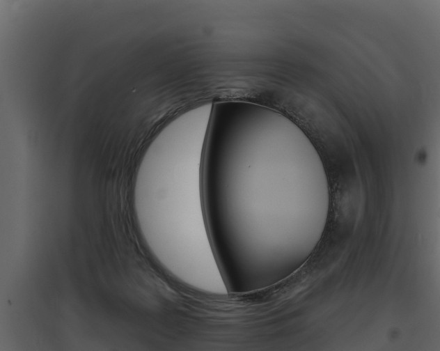 X0000097810219200803140806