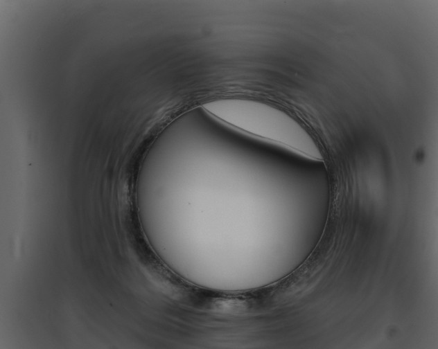 X0000097810220200803140806